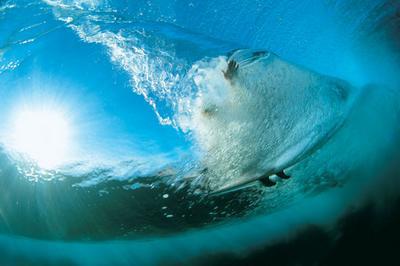Surf